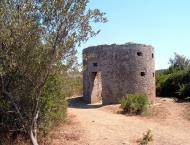 Populonia